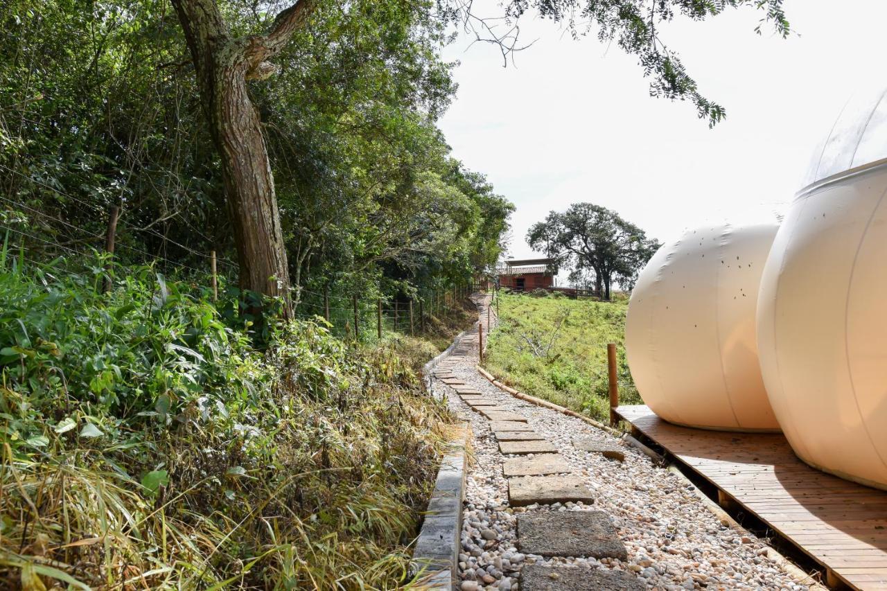 Bubble Pingo Do Mula Serra Da Canastra São Roque de Minas 외부 사진